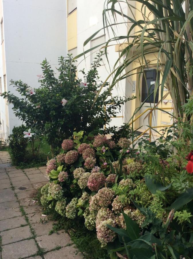 Jardim Das Flores ファロ エクステリア 写真